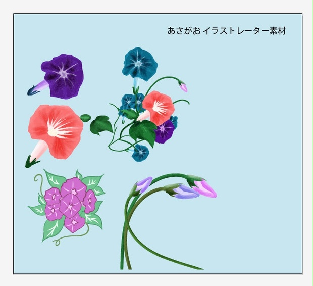 朝顔ベクターイラスト5個セット 作成バージョンcs6 Chicodeza Pixiv Booth Booth
