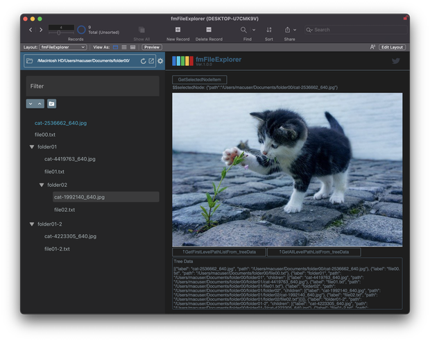 fmFileExplorer FileMaker上でディレクトリを表示