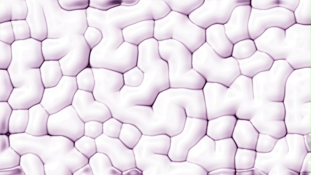 Brain Wrinkle Cell.ffx - TAROU_ART MARKET - BOOTH