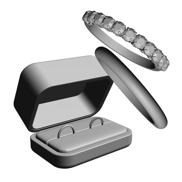 【3Dモデルデータ】リング20 : ケース付きのペアリング（ハーフエタニティリング+甲丸）【3Dmodel deta partnerring20】