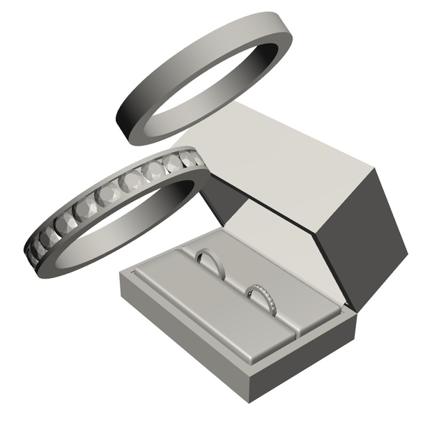 【3Dモデルデータ】リング21 : ケース付きのペアリング（レール留めのハーフエタニティ＋平打ち）【3Dmodel deta partnerring21】
