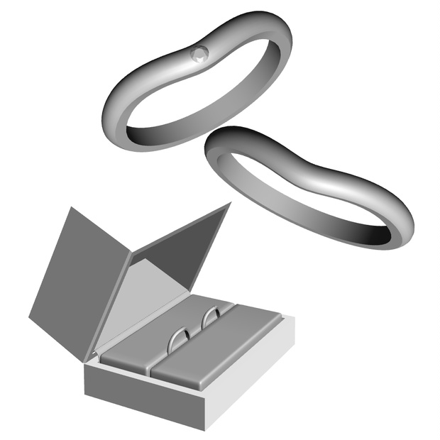 【3Dモデルデータ】リング37 : ケース付きのペアリング【3Dmodel deta partnerring21】