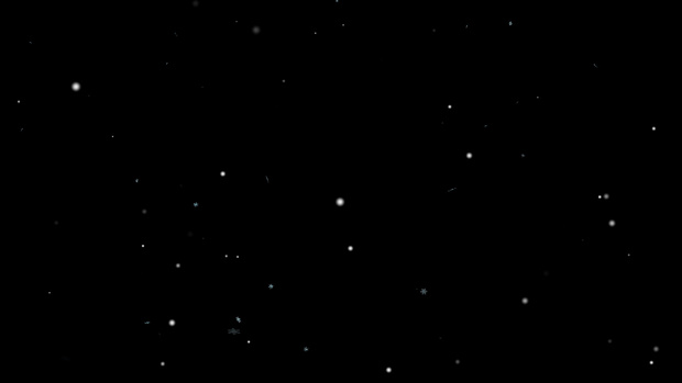 吹雪・雪が舞う【動画・映像素材】No.hg0039
