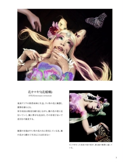 花蟷螂 ジェルベラの虹彩 Booth