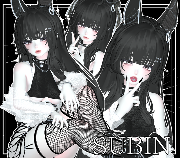 3D Model 「SUBIN」