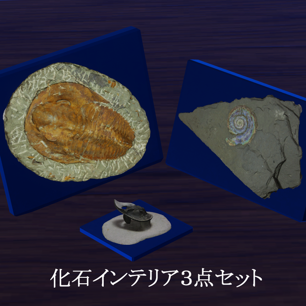 化石インテリア３点セット