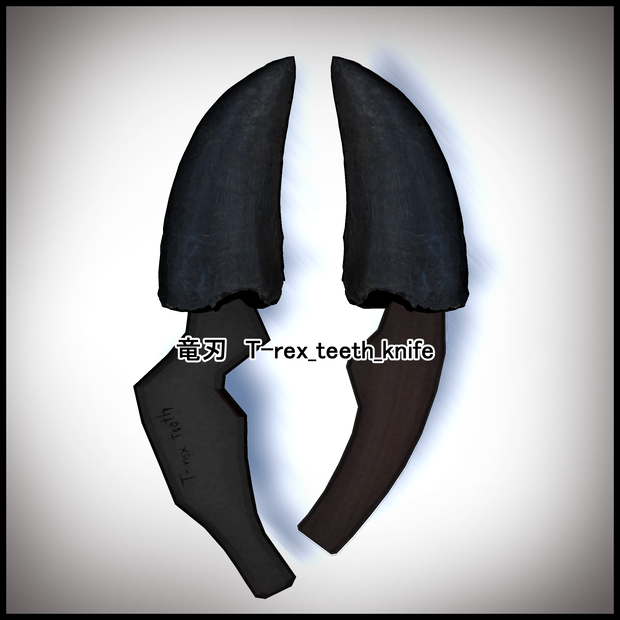 竜刃　T-rex_teeth_knife (ティラノサウルスの歯で作ったナイフ)