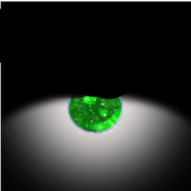 Clover Eye Texture