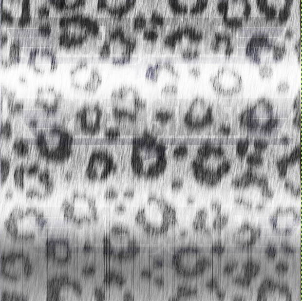 Snow Leopard Fur Texture