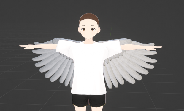 Angel Fae Wings