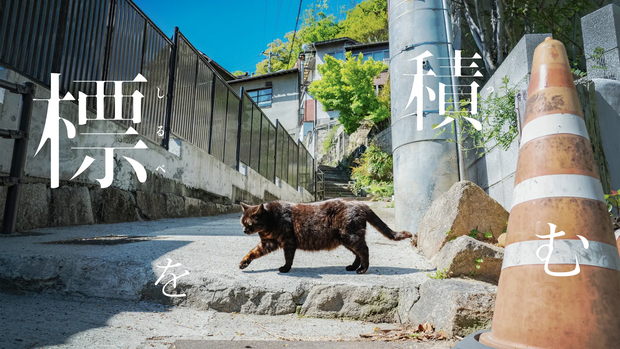 【期間限定配布】標を積む