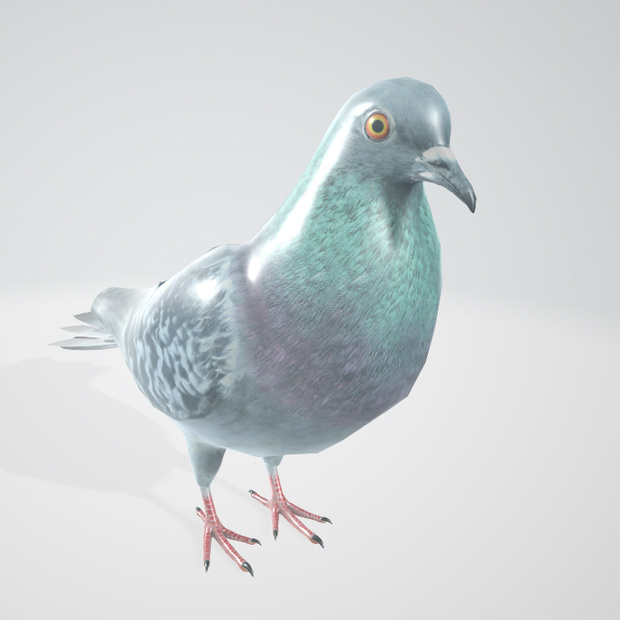 3d 鳩　blender