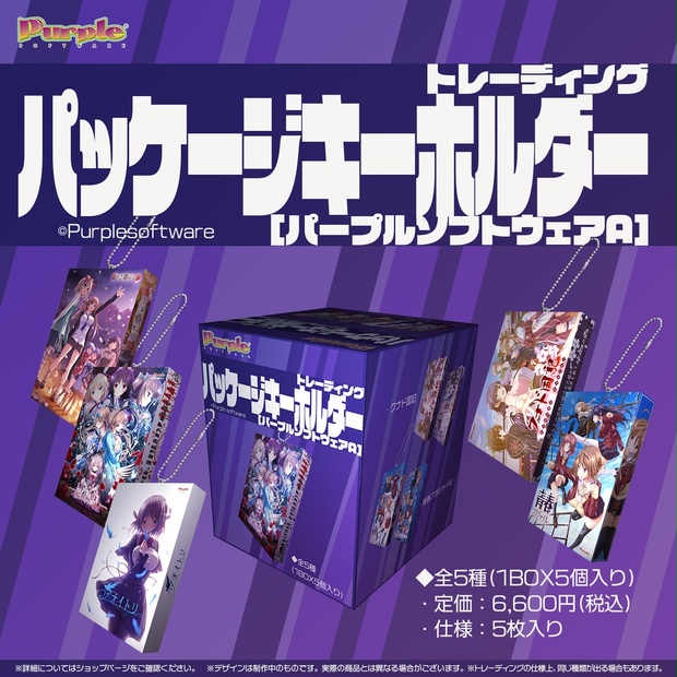 パープルソフトウェアA】パッケージキーホルダー(全5種1BOX5個