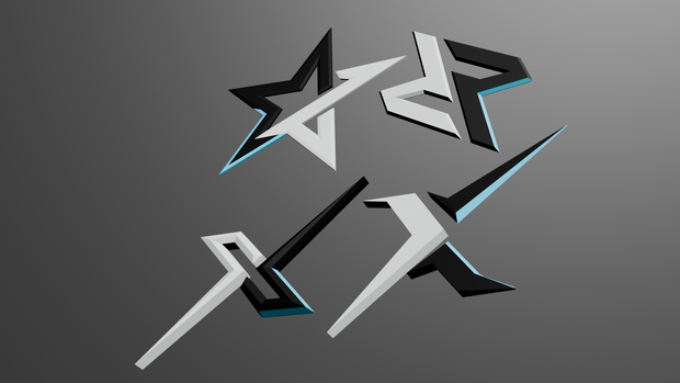 ION hair pin