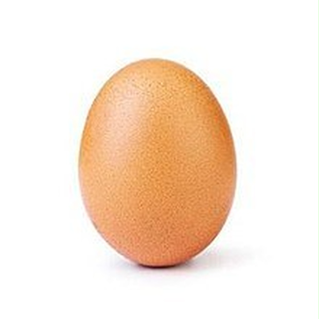 Egg Vtuber Model Free (ARTKIT/Webcam)