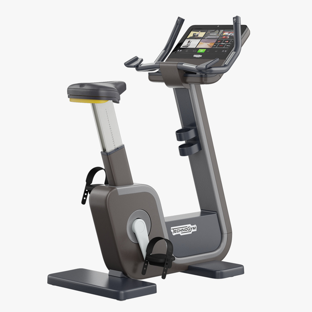 Technogym Artis Bike