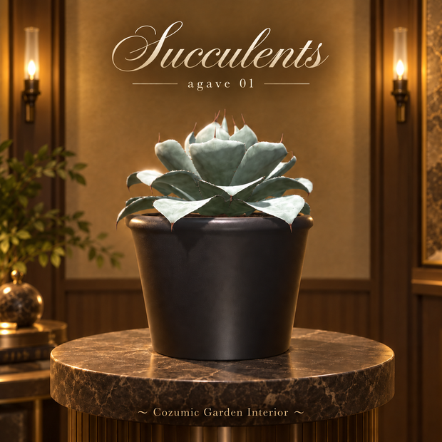 【CGI001】Succulents -Agave01-