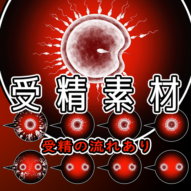 【商用可】【R18】種付け受精素材・Fertilization Material・ゲーム・マンガ用素材
