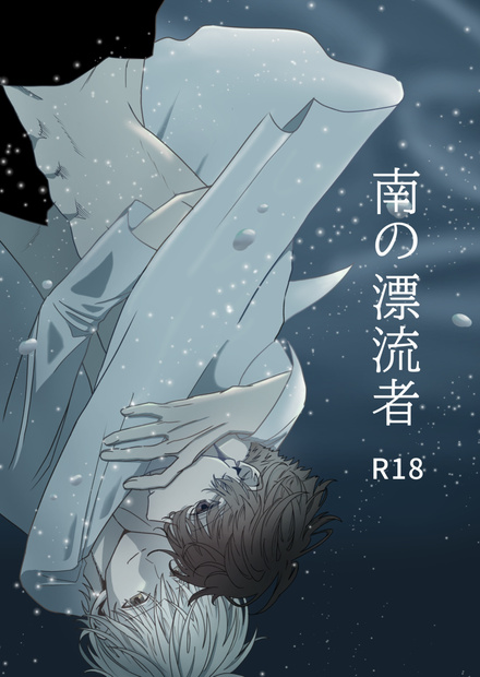 南の漂流者