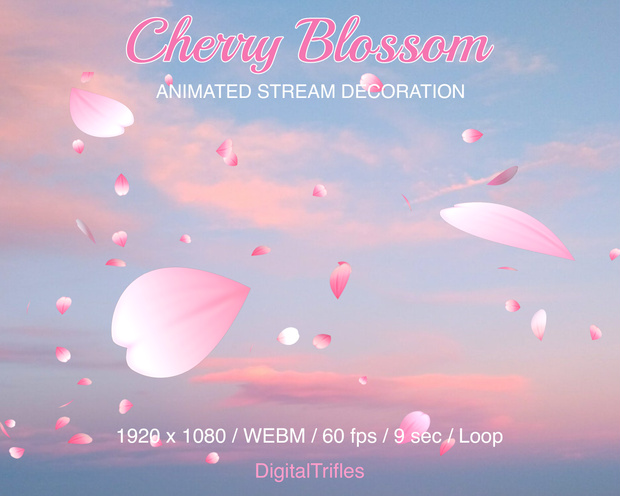 Cherry blossom animation, Twitch stream overlay, pink sakura petals falling on transparent background, loop / 桜のアニメーション Twitch オーバーレイ、透明な背景に舞い散るピンクの花びら、全画面、ループ