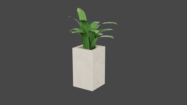 【３種類】観葉植物