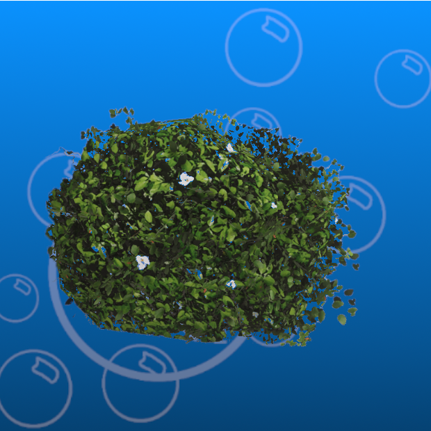 Free Bush Prefab