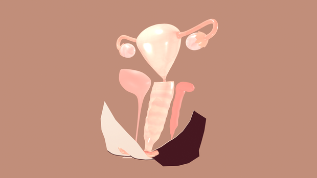 3Dモデル「女の子の性器」 VRoid適用可能  Blender/FBX対応