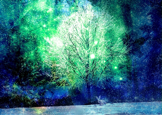 A4サイズ】雪の木とウサギ 幻想風景イラスト - 小さな箱庭フィリリ 