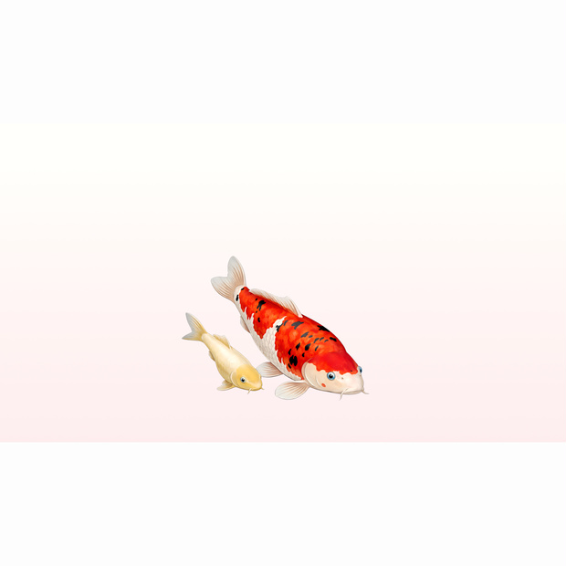 和風背景素材｜親子鯉01 和紙セット(白和紙・金和紙）10枚・6000ｘ3375JPEG（軽量版・商用利用可）