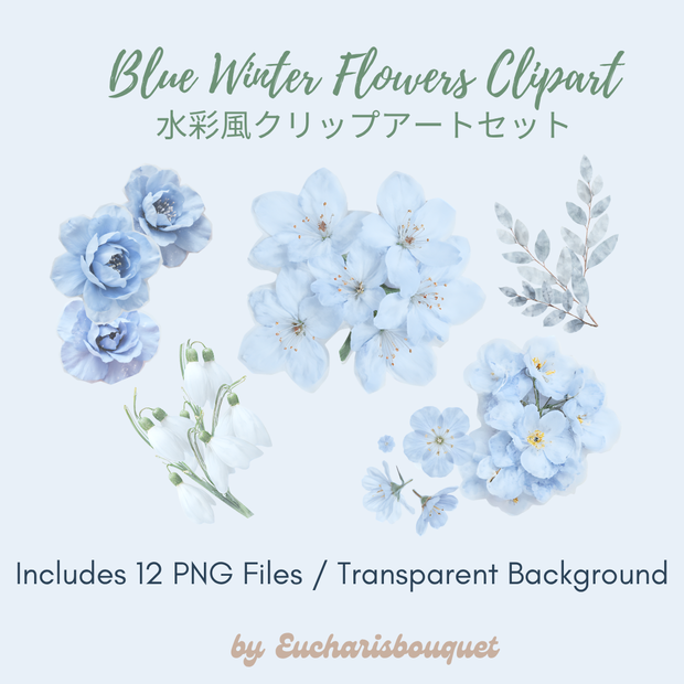 ブルーベースの冬の花クリップアート｜水彩風フローラルイラストセット｜透明背景PNG素材｜Eucharisbouquet