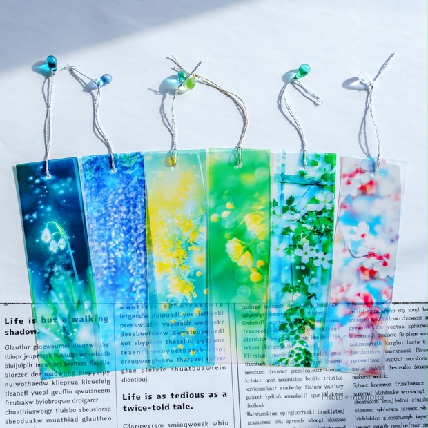 85b76969-f02b-4ece-a25b-