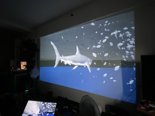 Portalgraph サメ水槽/ Portalgraph shark demo