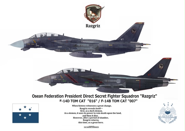 Ace Combat5 ラーズグリーズ F 14b D Tomcat Alerthangar Booth
