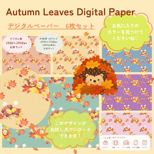 無料あり|秋の紅葉 デジタルペーパー6枚セット|Autumn Digital Paper|背景素材・ デジタル手帳・壁紙・ラッピング|大人かわいい・くすみカラー