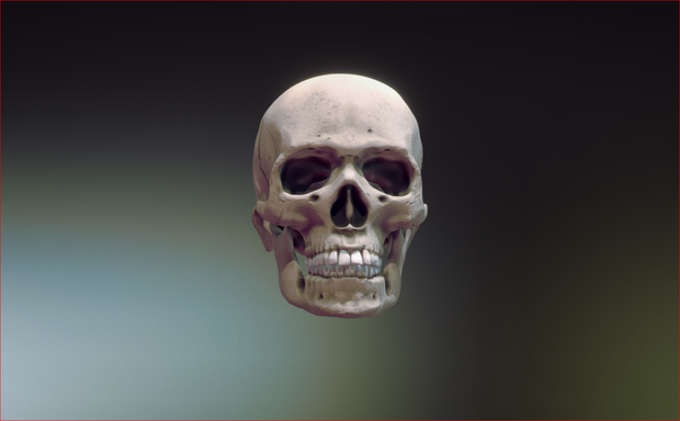 Skull downloadable 3D Clothing 3D Model VRChat 頭蓋骨のダウンロード可能な3D衣類3DモデルVRChat