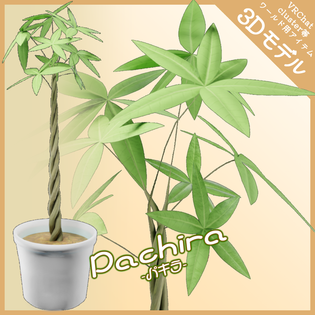 【3Dモデル】Pachira -パキラ-