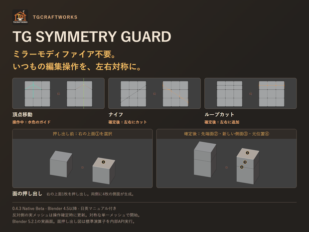 TG_SYMMETRY_GUARD