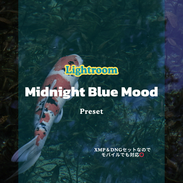 Lightroom用　MidnightBlueMood 【６色セット✨】