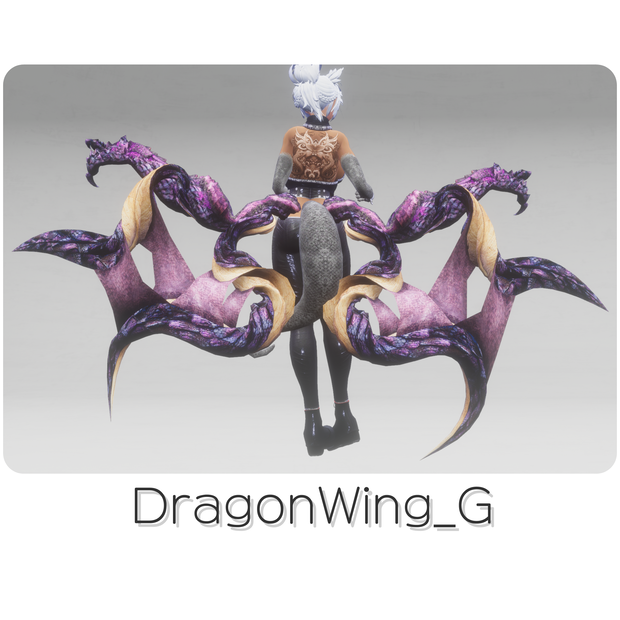 【DragonWingシリーズ】DragonWing_G