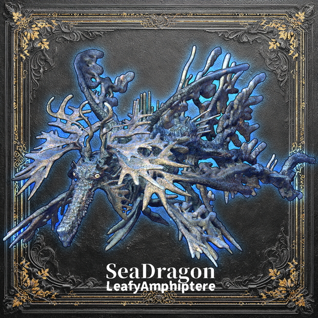 【オリジナル3Dモデル】LeafyAmphiptere_SeaDragon