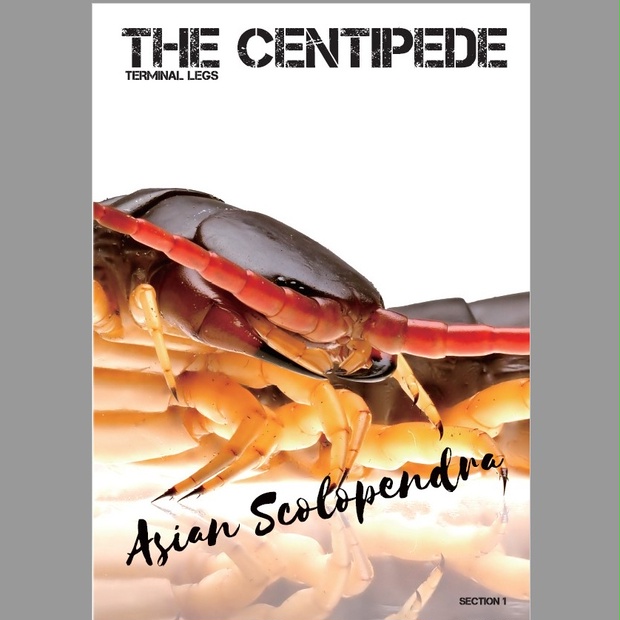 デジタル版 THE CENTIPEDE SECTION1 図鑑編