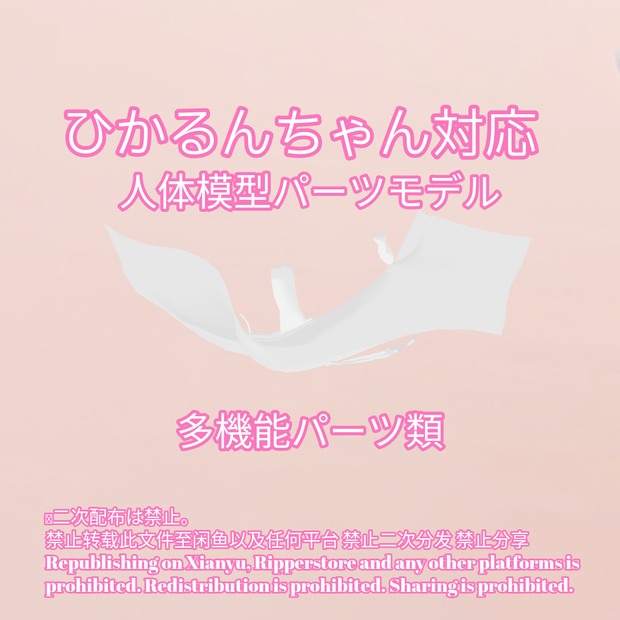 R-18 ひかるんちゃん用・人体模型パーツモデル（リュミィ共通素体）