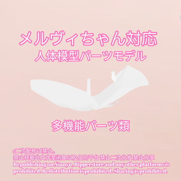 R-18 邪神メルヴィちゃん用・人体模型パーツモデル