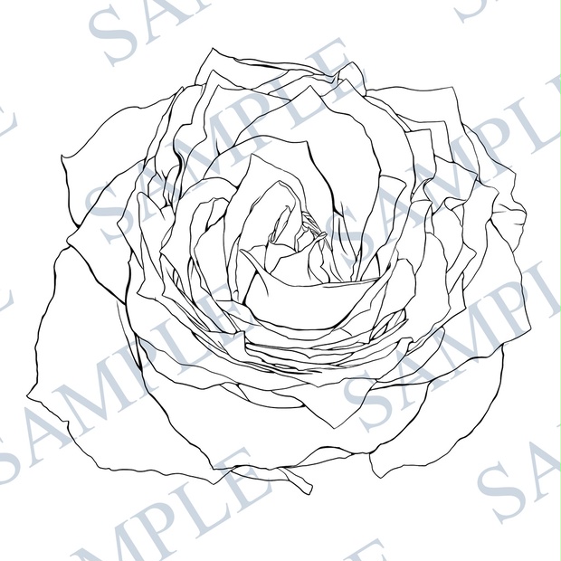 薔薇線画 Ninaini Booth 薔薇線画 Ninaini Booth