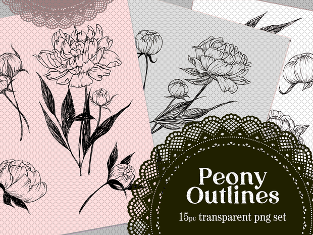 Peony Flower Botanical Lines, 15 Transparent PNG Set