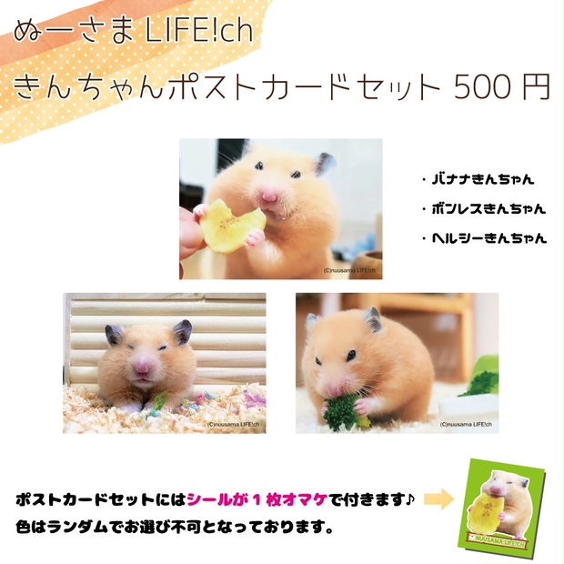 キンクマハムスター ポストカード３枚セット - nuusama LIFE!SHOP 