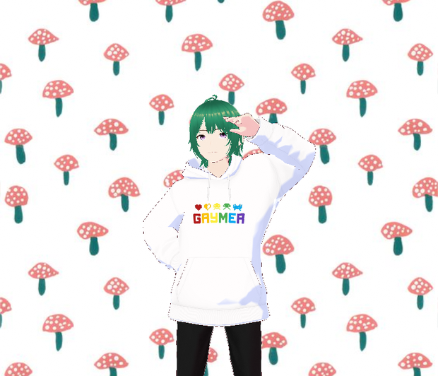Gaymer White Hoodie Male