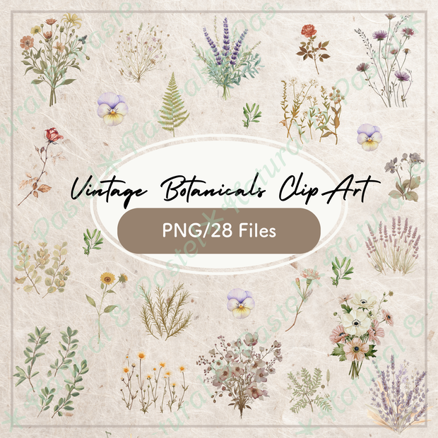 🌿【Vintage Botanicals】水彩クリップアート ＊ 28点セット（PNG背景透過）