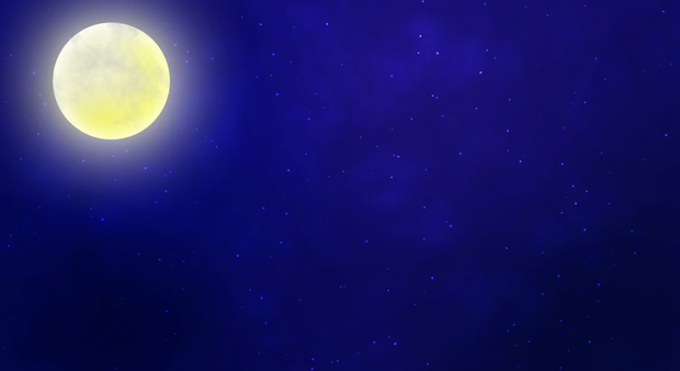 キラキラ輝く夜空の動く背景✨商用利用可