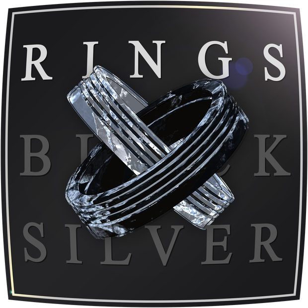 [200¥] Black & Silver Rings ブラック＆シルバーリング